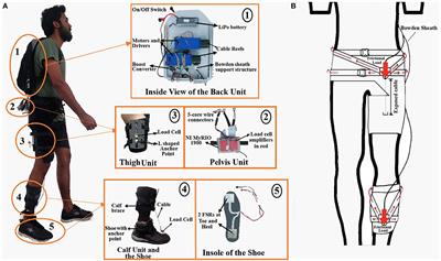 Evolving Toward Subject-Specific Gait Rehabilitation Through Single-Joint Resistive Force Interventions